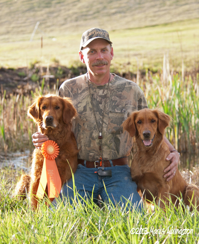 akc rossette, hunting test, retrievers, senior hunter