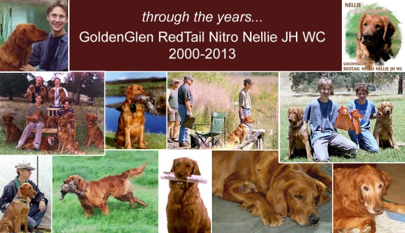 Nellie 2000-2013
