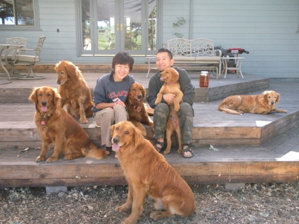 Noriko and Yoshi with the pack.