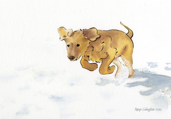 Woot! Woot! Snow day! Time for a happy romp! Inked on 300lb arches rough then watercolor washes. 2013 MaryALivingston