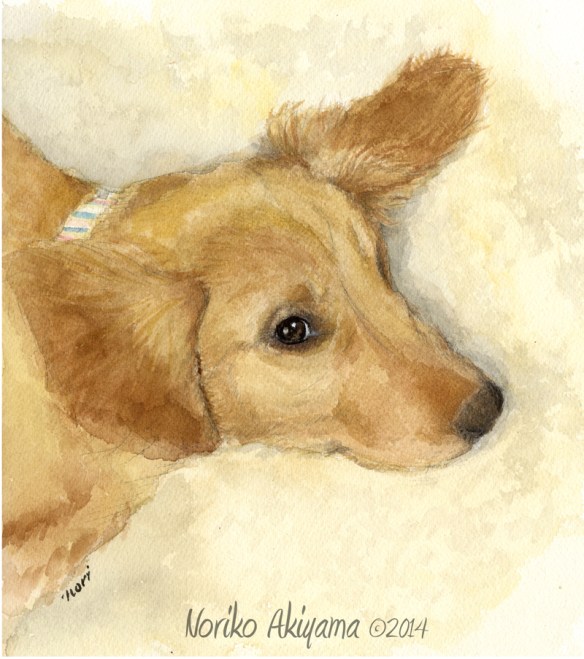 Kinta by Noriko Akiyama