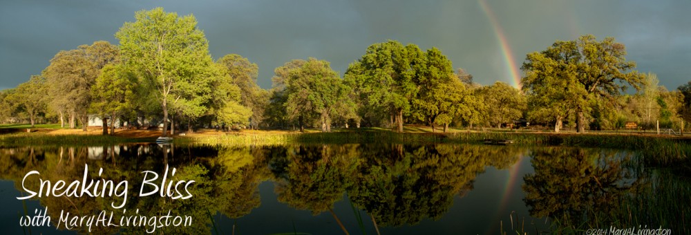 Sneaking Bliss