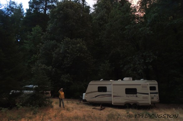 wildfire, forest fire