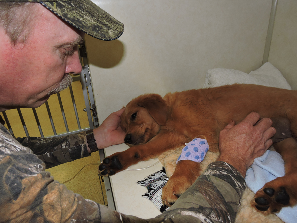 Bliss responds to Tim's touch. The vet prepared us for the worst.