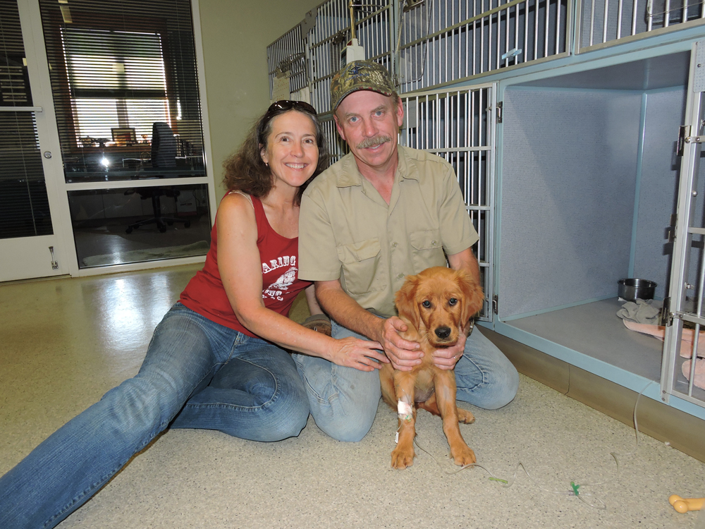 It was a happy visit when her numbers started trending in a better direction. On our 32nd Anniversary, we visited Bliss together.