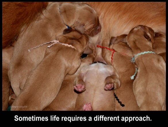 Sometimes life requires a different approach.