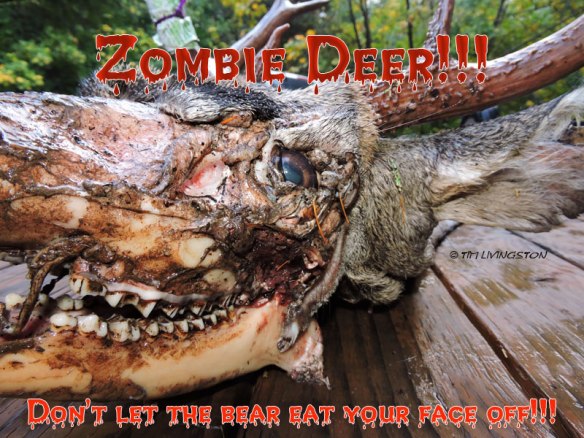 Zombie Deer!, zombie, deer, Halloween